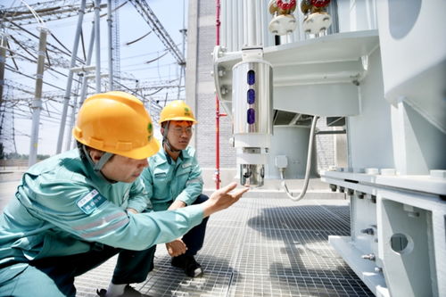 国网重庆市电力公司