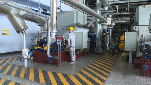 南山集团宋作文 南山电力总公司开展夏季供电安全巡检